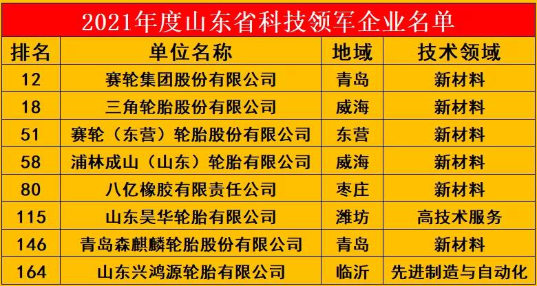 2021年度山东省科技领军企业名单