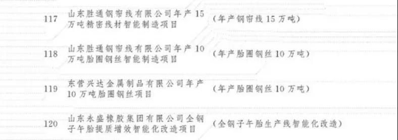 东营兴达金属制品有限公司年产10万吨胎圈钢丝项目