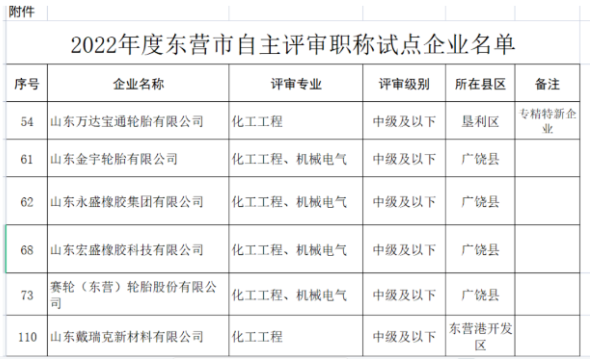 职称自主评审，5家轮胎企业试点！